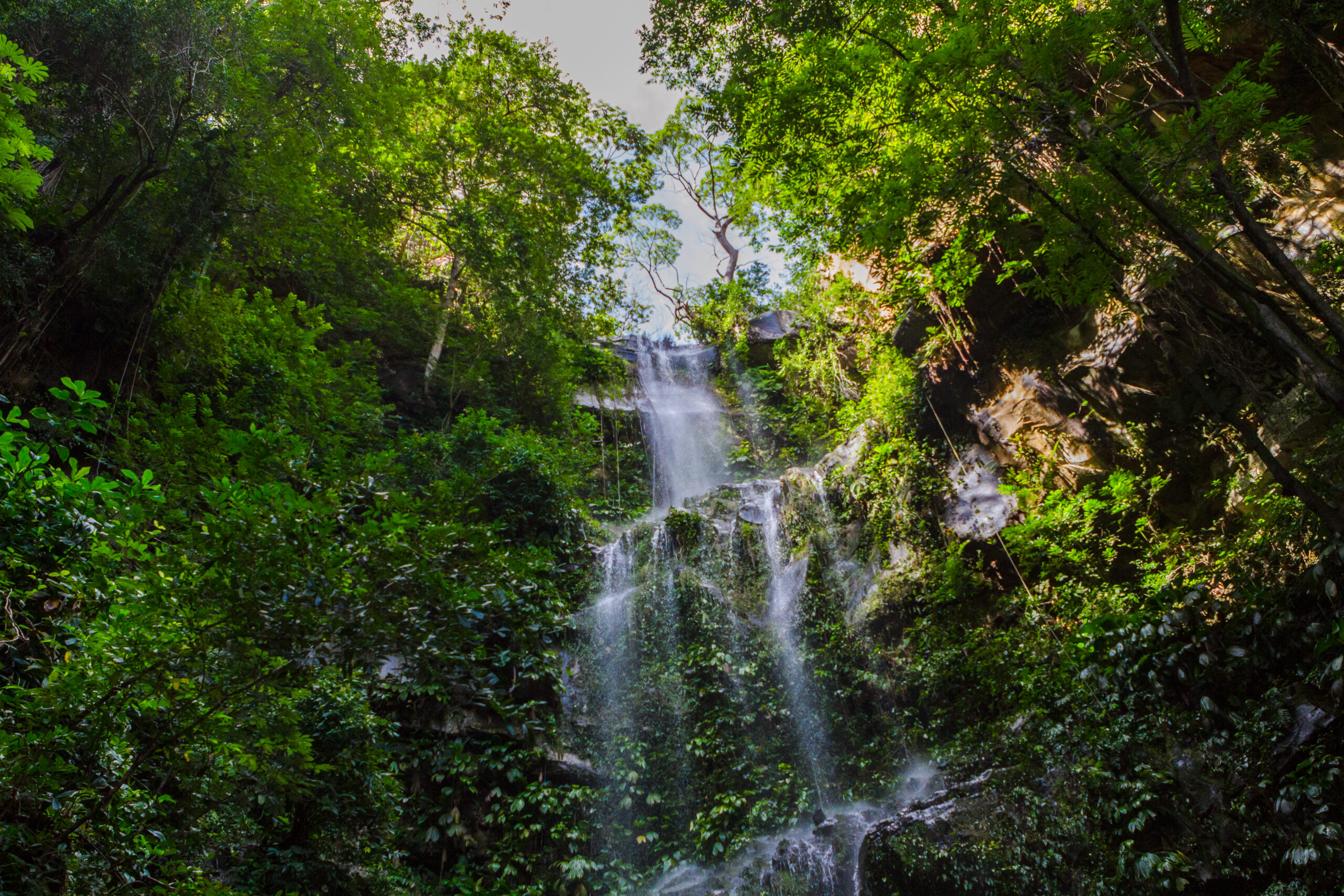 Cachoeira do Urubu Rei